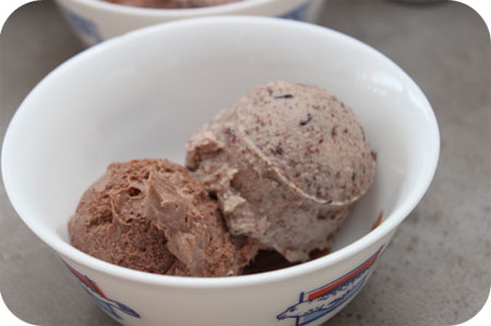Twee Soorten Chocolade ijs