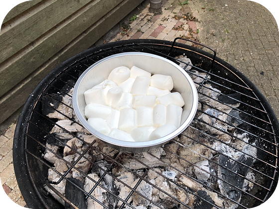 Barbecue marshmallows