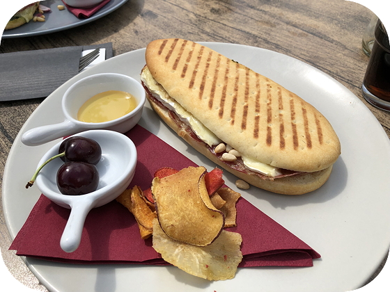 Panini's bij Het Tuincafé bij de Kruidhof in Buitenpost panini brie